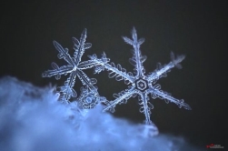 Новосибирский фотограф сделал впечатляющие снимки снежинок ...